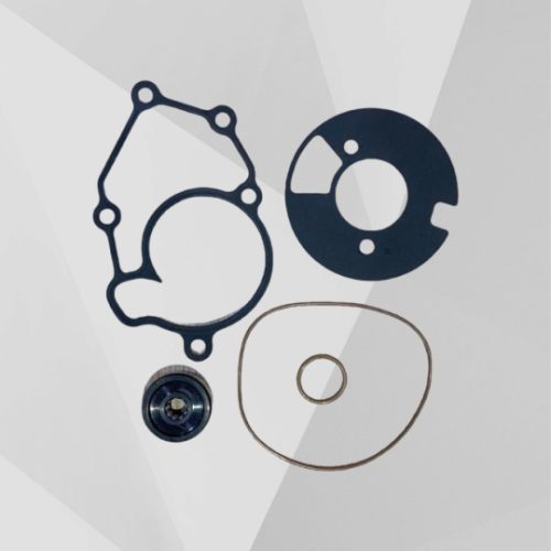 Phốt bơm nước YA-EXCITER C-135/C-150