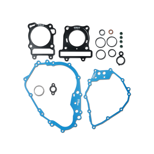 Gioăng máy SK – RAIDER 150 FI – FCP